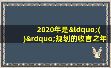 2020年是“( )”规划的收官之年